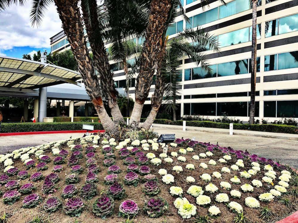 Sheraton Ontario Airport Hotel Esterno foto